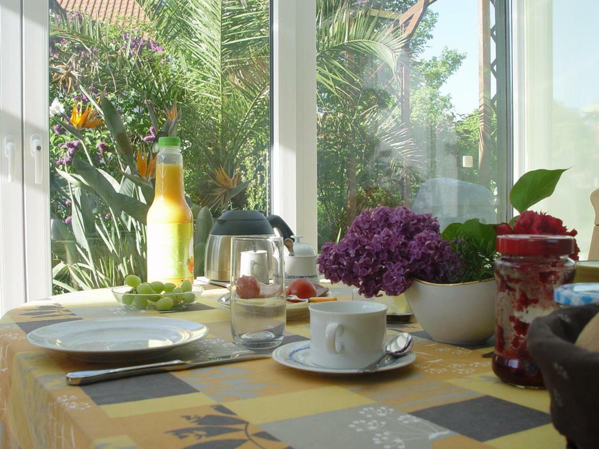Privatzimmer Mit Aussicht Пирна Экстерьер фото